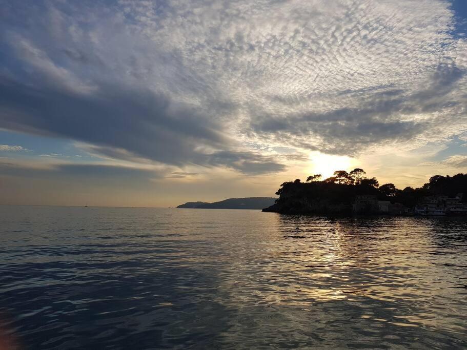 Villa Contemporaine F5 Cote Azur Ollioules Calme Extérieur photo
